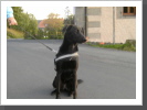 Myla, ein M&uuml;nchner M&auml;del